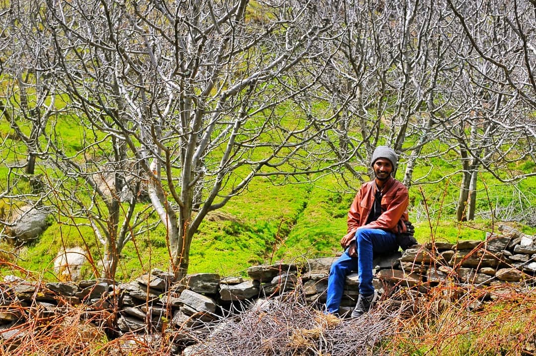 manali to leh