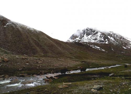 Ladakh-part5-Missionk2k (14)